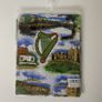 Historic Ireland PVC Apron with tie-back Strings Image 3