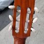 Classical guitar BARGAIN Image 5