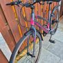 Girls bicycle Image 4