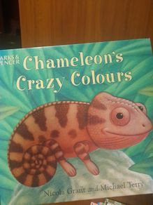 Two sided chldren's book