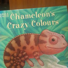 Two sided chldren's book