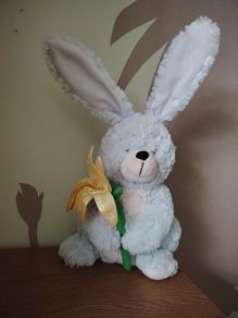 Rabbit / Bunny  Soft Toy