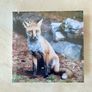 Fridge Magnets Image 3