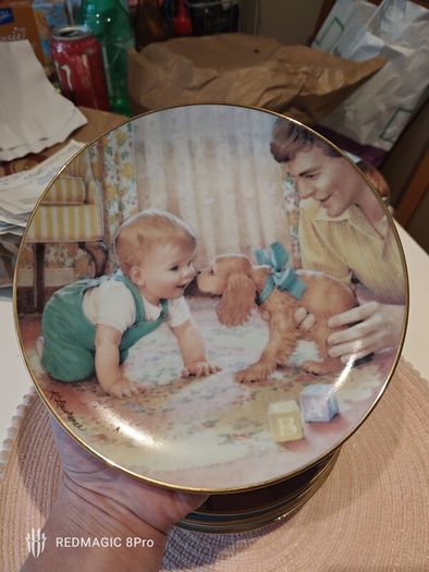 8 Collection Of Danbury Mint Fine Porcelain Plates