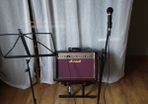 Marshal Amp AS50, with mic leads and stands. Price drop!!