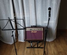 Marshal Amp AS50, with mic leads and stands.