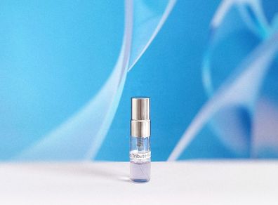 Afnan Tribute Blue - 2ml Decant