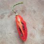 Chili Pepper 'Aji Largo' Irish Seed Image 4