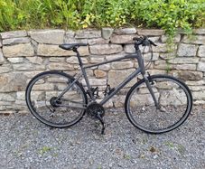 Ridgeback Velocity