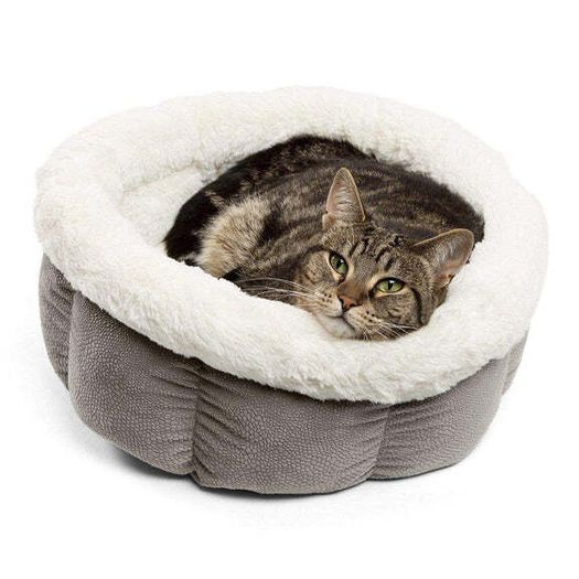 Cat Bed Cuddle cup