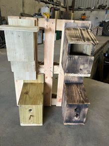 Acre Approved Bird/Bat Box