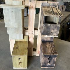 Acre Approved Bird/Bat Box