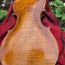 Violin Image 3