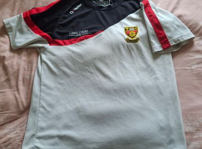 Down GAA O'Neills Gaelic Football Jersey (Adult Medium) FREE POST