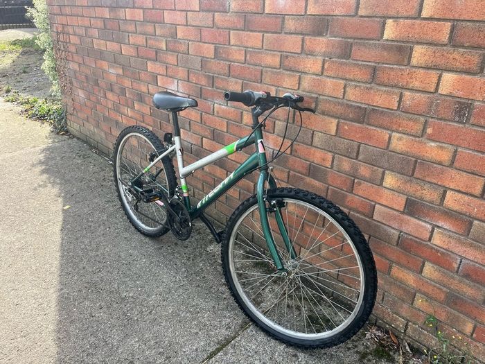 26 Inch Integra Everglades bike