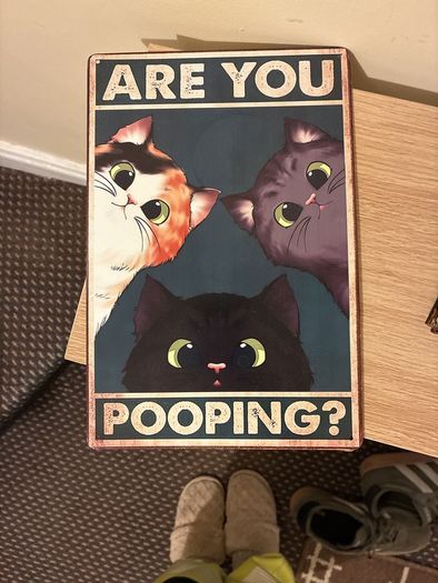 Decor funny metal plate