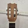 APC Portuguese Cavaquinho Image 4