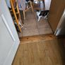 cat adaptio Image 6