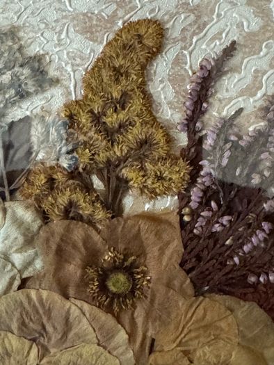 Vintage Framed Pressed Flower Wall Art - Handmade Botanical Piece (38 x 41 cm)