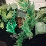 Decorations for Fish Tank Image 3