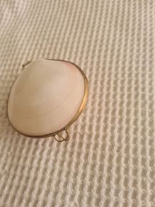 Shell trinket box