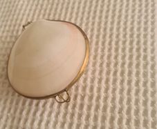 Shell trinket box