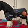 Le Mieux toy ponies Image 5