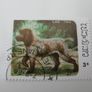 Set of Laos Stamps featuring Dogs Image 3