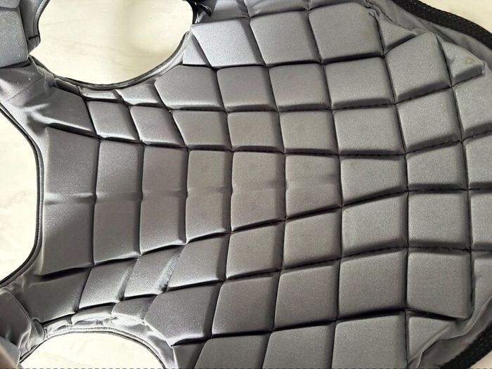 Champion Ti22 - Back protector black XLC (short)