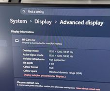 HP Monitor