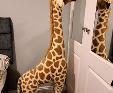 5ft Giraffe Teddy Melissa & Diug
