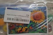 Paint by Numbers Kit Sunflowers