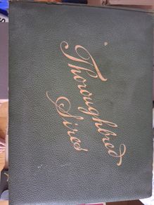 Book  Of Thoroghbred Sires.