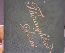 Book  Of Thoroghbred Sires.