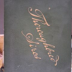 Book  Of Thoroghbred Sires.