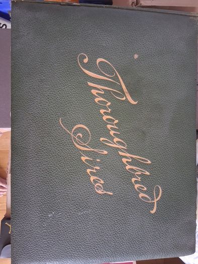 Book  Of Thoroghbred Sires.
