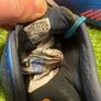 Adidas Predator Lethal Zones FG Football Boots | UK 7.5 Image 8