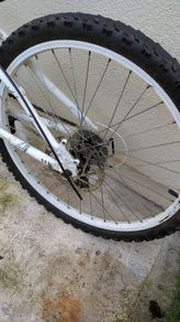 Apollo Teen Bike