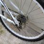 Apollo Teen Bike Image 6