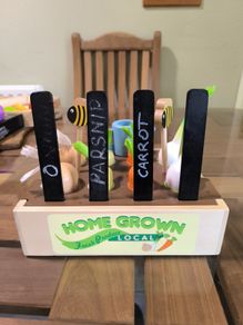 Wooden Vegetable Patch toy