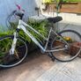 Carrera crossfire one 28 inch wheels 21 speed 20.5 inch frame Image 5