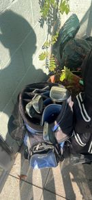 golf club