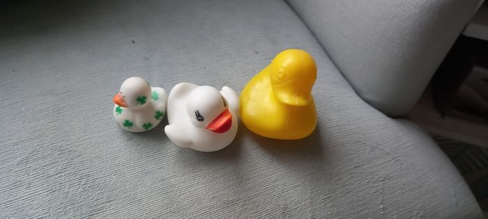 Bath ducks