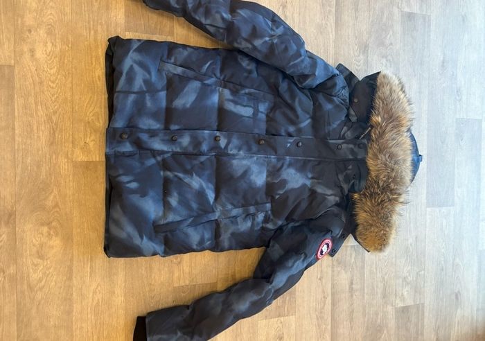 canada goose