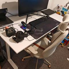 Gaming Monitor & Desk