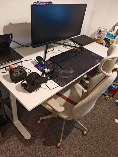 Gaming Monitor & Desk
