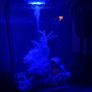 Biorb Life Aquarium 45 L with multi colour remote control Image 2