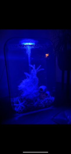 Biorb Life Aquarium 45 L with multi colour remote control