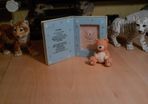 teddy bear photo frame