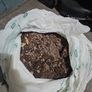 2 large bags of soil/compost Image 2